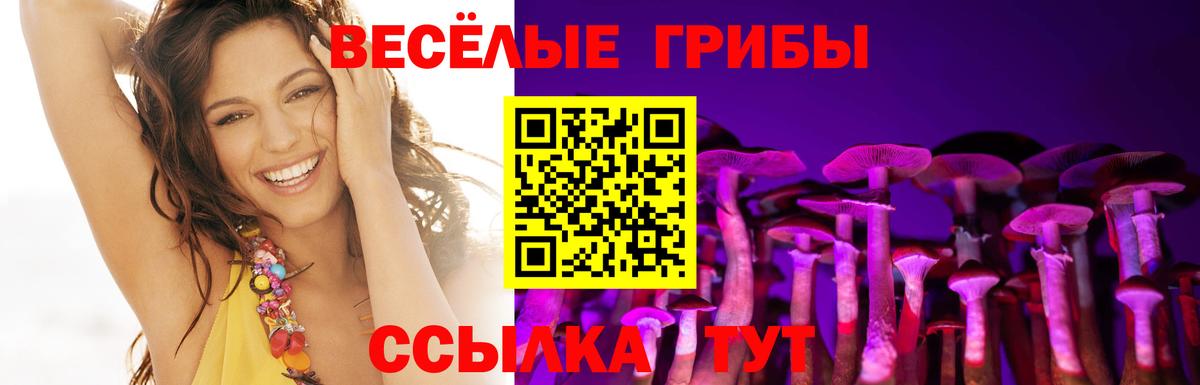 Галлюциногенные грибы Psilocybe Ульяновск